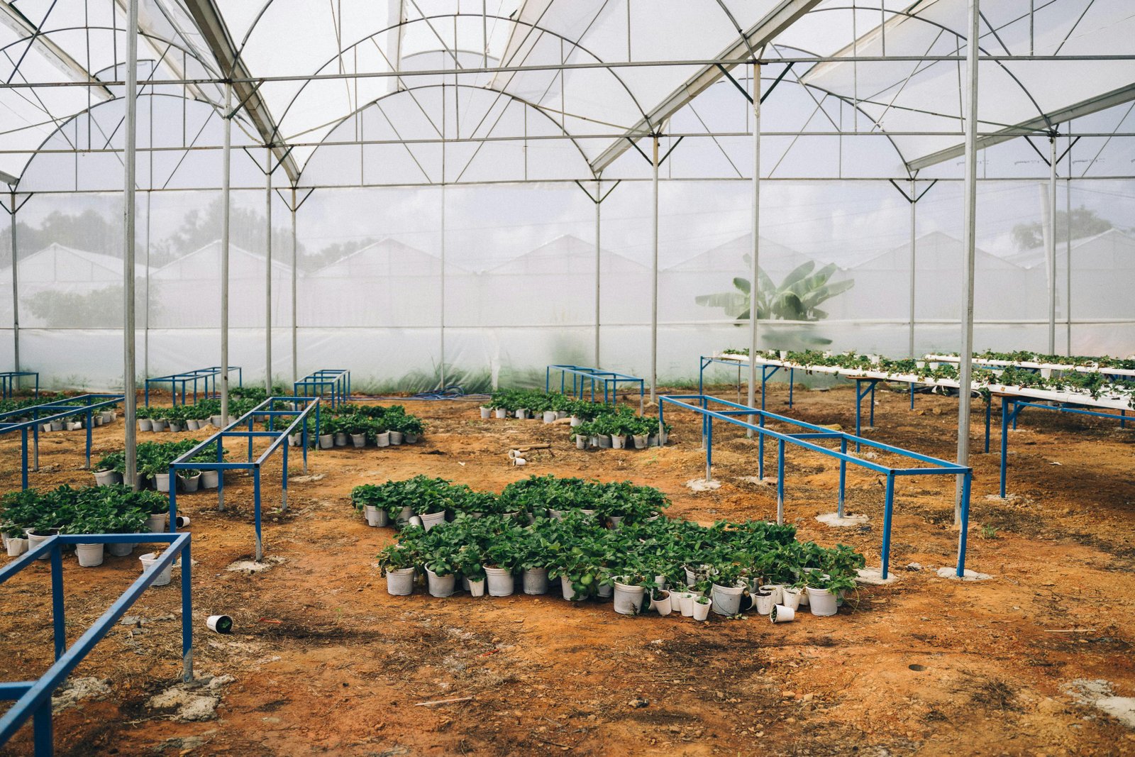 The Future of Agriculture: Smart Farming Technologies